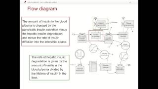 Mathematical modeling of physiological systems Insulinglucose regulation Part 1 [upl. by Gnex]