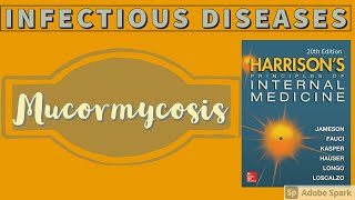 MUCORMYCOSIS  Black Fungus  Causes  Pathogenesis  Treatment  Harrison [upl. by Aerdnu]