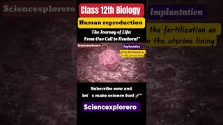 Part 1  Human reproduction class 12 Biology chapter 3ncert neet cbse sciencexplorero [upl. by Nelleus]