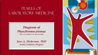 Diagnosis of Pheochromocytomas [upl. by Edora]