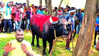 নডিহা লক্ষিকান্তর ভাইপো আজ ভেঙে পড়লেনচাঁদড়া আসরেকমিটিকে লড়াইয়ের পর কি বলছে দেখুন [upl. by Sihtnyc549]