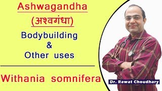 Ashwagandha Uses and Dose  Best medicine for Bodybuilding  Withania Somnifera [upl. by Niwre355]