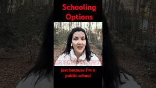 Public Private or Homeschooling Which is the Best Option [upl. by Steffin]