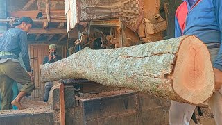 Super Precise Cutting Sheets of Wadang Wood Using a Modern Bandsaw [upl. by Adnomal834]