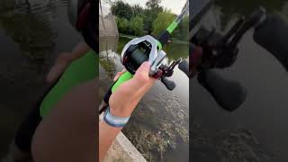 Scorpion DC vs SLX DC sound test 🔊ReelTalkFishin512 fishing shimano viralshort baitcaster [upl. by Ybur]