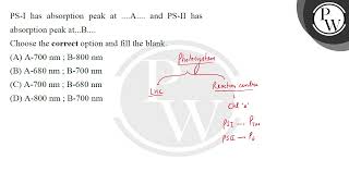 PSI has absorption peak at A and PSII has absorption peak atB\nChoose the corre [upl. by Boonie176]