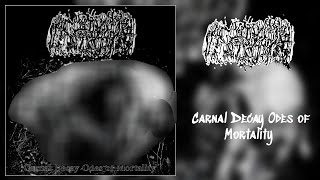 Anastomose  Carnal Decay Odes of Mortality Full Album Deathgrind [upl. by Rizan738]