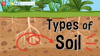 Types of Soil [upl. by Atilek]