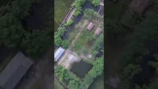 Rishi Kheti Yeuta Purano Soch plandfarm esorkdk drone nature farming [upl. by Neeliak947]