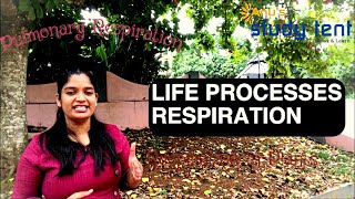 Life Processes Part3Respiration in HumansCBSE Class 10 Biology Chapter 6 in Malayalam [upl. by Pucida]