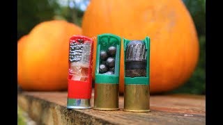 Birdshot Buckshot and Slugs  shooting pumpkins [upl. by Slein448]