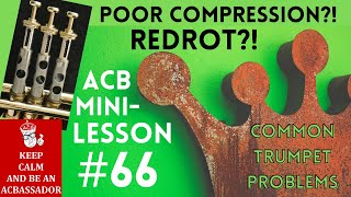 ACB MiniLesson 66 pardon the typo on the screen Red Rot and Valve Compression [upl. by Juliann310]