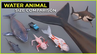 WATER ANIMAL ➤ Size in Human scale  Fish size [upl. by Pitzer]