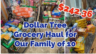 MY FiRST DOLLAR TREE GROCERY HAUL for Our Family of 10 [upl. by Annig]