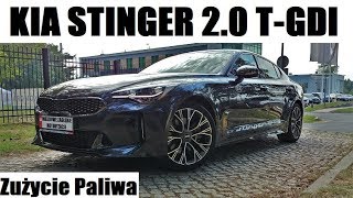 2017 Kia Stinger 20 TGDI 245 KM Zużycie Paliwa  Consumption [upl. by Sinai]