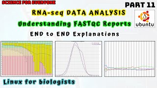 Understanding the concepts behind FASTQC reports  Complete Explanation [upl. by Pierrette]