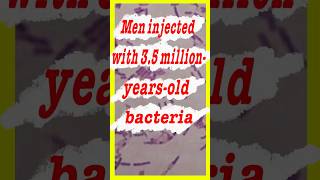 Man injected with 35 millionyearold bacteria shorts [upl. by Rehpatsirhc]