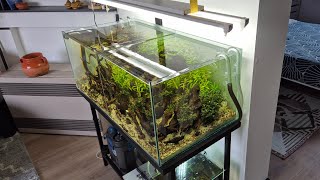 double filtration aquarium skimmer de surface compte rendu [upl. by Geithner576]