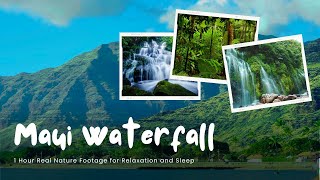 NO ADS Waterfall Relaxation Waterfall Maui Hawaii  1 Hour Relaxation Sounds  Nature Footage [upl. by Ytitsahc235]