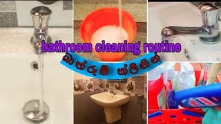 මේ විදිහට බාත්රූම් එක පිරිසිදු කරමුbathroom cleaning routine and tips [upl. by Larson]