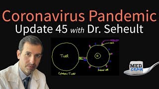 Coronavirus Pandemic Update 45 Sharing Ventilators More on Sleep Immunity amp COVID19 Prevention [upl. by Noval]