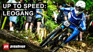 Everything You Need To Know Going Into Round 3 Of World Cup DH Racing  Up To Speed Leogang [upl. by Mudenihc]