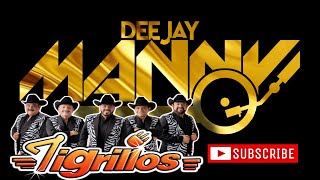 LOS TIGRILLOS TAPAME DJ MANNY TV 2024 [upl. by Elias135]