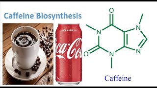 Caffeine Biosynthesis l How Plants Make Caffeine [upl. by Alyac679]