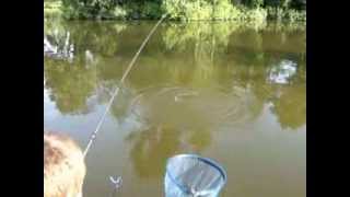 Catching Bream on the Method Feeder at Lydney Lake [upl. by Truk222]