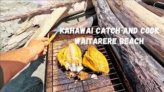 KAHAWAI CATCH AND COOK  WAITARERE BEACH [upl. by Siuqram150]