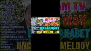 MY WAY  BEST FUNNY PARODY SONGS BY AYAM TV  BEST Of AYAM TV 2023 [upl. by Darwin602]