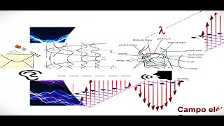 Fonética e Fonologia [upl. by Briano875]