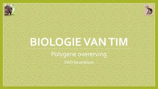 Biologie van Tim  Polygene overerving bovenbouw [upl. by Elehcir377]