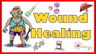 Wound Healing Mechanism Types Primary Secondary amp Tertiary intention of healing amp Complications [upl. by Dulci]