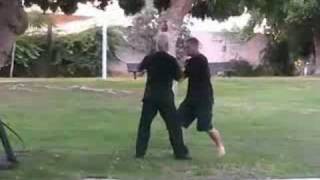 טאי צי וודאנג tai chi chuan WUDANG  7 stars to 4 directios [upl. by Ynaffat]