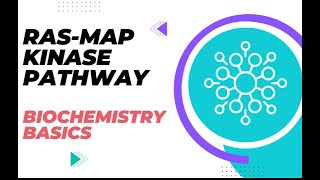 Understanding the RASMAP Kinase Pathway  Biochemistry Basics [upl. by Leddy]