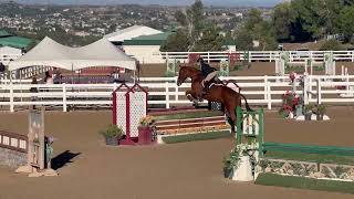 116 2024 Melissa Acker  Herradura  Winning ASPCA Maclay Medal [upl. by Herb248]