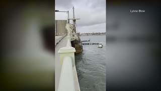 Historic Spanish ship accidentally drifts into Bridge of Lions in St Augustine [upl. by Yrtua]