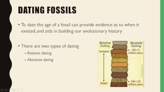 Unit 4 Biology Fossilisation amp Fossil Dating [upl. by Eigger906]