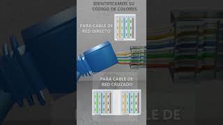 como ponchar un de cable de red RJ  ocupando una ponchadora electronic electrical [upl. by Lindberg]