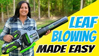 Leaf Blowing Made Easy  5 Top Tips [upl. by Camilo]