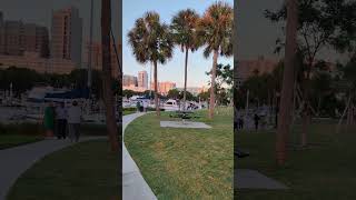 Bayfront Park in Sarasota Florida [upl. by Gower655]