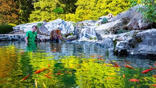 Making a Serene Waterfalls Mini Ecosystem Lake Feeder Goldfish Sanctuary [upl. by Ann]