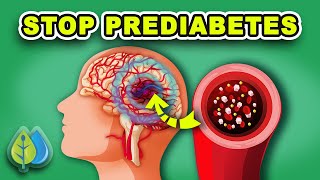 TOP 11 Prediabetes Symptoms and Treatment  How to STOP Prediabetes NOW [upl. by Lytsyrk352]