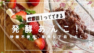 【発酵あんこレシピ】炊飯器であんこ炊きから発酵まで！下茹でいらずの炊飯器あんこ！罪悪感ゼロ毎日発酵食品 [upl. by Ttelracs677]