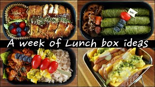 🍱 A week of Lunch BoxDosirak🍳 Bento Box Lunch Ideas for work or school🍳 [upl. by Anelec]