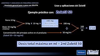 CÁLCULO DE DOSIS CON ZOLETIL [upl. by Anneuq]