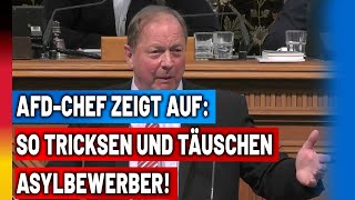 Kinder verstecken Ausweise wegwerfen Krankheiten vortäuschen AfDChef entlarvt Abschiebeversagen [upl. by Jodi]