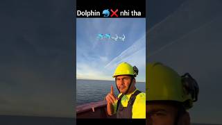 Wo Dolphins nhi tha dosto❌🙏😱😅msc ship wheels dolphin shark youtubeshorts viralvideo trending [upl. by Consolata811]