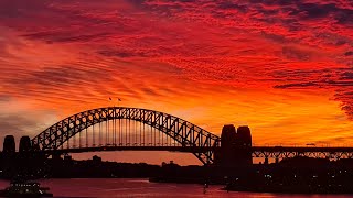 Sights and sounds from the most amazing city in the world This is Sydney Harbour Australia LIVE Cam [upl. by Ettedo]